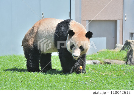 おやつをゲットした明浜 118042612