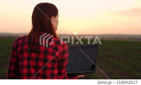 agriculture, woman farmer working laptop, farm field corn, modern farm business growing, tech-savvy farmer, tech-enhanced farming, field tech efficiency, modern farming sunset, field data collection agriculture, woman farmer working laptop, farm field corn, modern farm business growing, tech-savvy farmer, tech-enhanced farming, field tech efficiency, modern farming sunset, field data collection 118042617