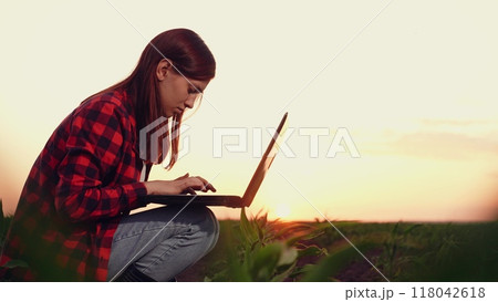 agriculture, woman farmer working laptop, farm field corn, modern farm business growing, farming business tech, cornfield technology use, laptop field sunset, laptop rural management, sunset farm agriculture, woman farmer working laptop, farm field corn, modern farm business growing, farming business tech, cornfield technology use, laptop field sunset, laptop rural management, sunset farm 118042618