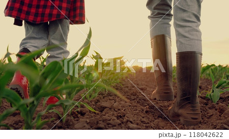 farmer rubber boots walks raising dust field sunset, child farmer working field summer, corn industry, child mother walking along road eco-friendly corn, fresh sprouts green corn farm, children help farmer rubber boots walks raising dust field sunset, child farmer working field summer, corn industry, child mother walking along road eco-friendly corn, fresh sprouts green corn farm, children help 118042622