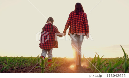 agriculture, farmer child walking hand hand across field, corn green field, green sprouts seedlings corn embryos, growing young fresh corn farm field, walking fertilized fields, walking boots, little agriculture, farmer child walking hand hand across field, corn green field, green sprouts seedlings corn embryos, growing young fresh corn farm field, walking fertilized fields, walking boots, little 118042623