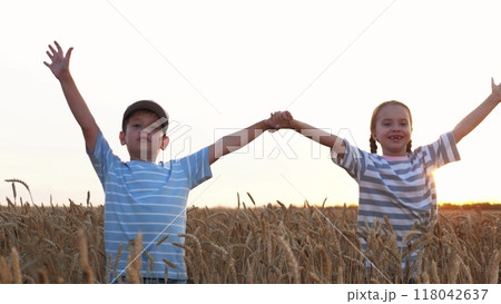 Happy children at sunset in wheat field laughing having fun holding hands. Children kids boy girl walk along yellow agricultural natural field in golden setting sun, talking, smiling, fooling around. Happy children at sunset in wheat field laughing having fun holding hands. Children kids boy girl walk along yellow agricultural natural field in golden setting sun, talking, smiling, fooling around. 118042637
