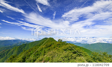 山梨県・御坂山地王岳~鬼ヶ岳の稜線と山並みの絶景 山梨県・御坂山地王岳~鬼ヶ岳の稜線と山並みの絶景 118042709