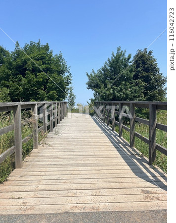 森の中に木製の大きな新しい橋がかかっている風景 118042723