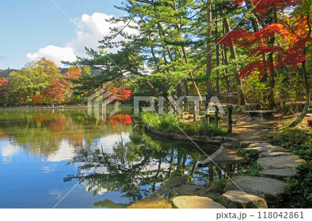 兵庫・神戸 再度山 秋の修法ヶ原池 兵庫・神戸 再度山 秋の修法ヶ原池 118042861