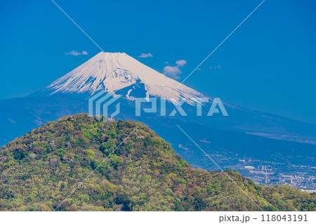 【静岡県】守山山頂展望台から見る 田方平野と富士山 【静岡県】守山山頂展望台から見る 田方平野と富士山 118043191