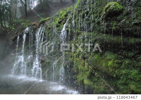 【神奈川県】箱根の山にひっそりと流れ落ちる千条の滝 【神奈川県】箱根の山にひっそりと流れ落ちる千条の滝 118043467