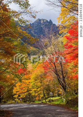 《奥飛騨の紅葉》紅葉最盛期の鍋平高原から望む「錫杖岳」 118044318
