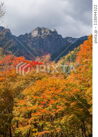 《奥飛騨の紅葉》紅葉最盛期の鍋平高原から望む「錫杖岳」 118044322