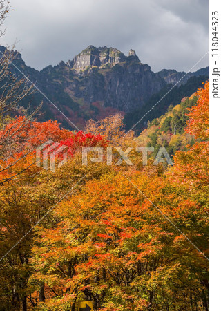 《奥飛騨の紅葉》紅葉最盛期の鍋平高原から望む「錫杖岳」 118044323