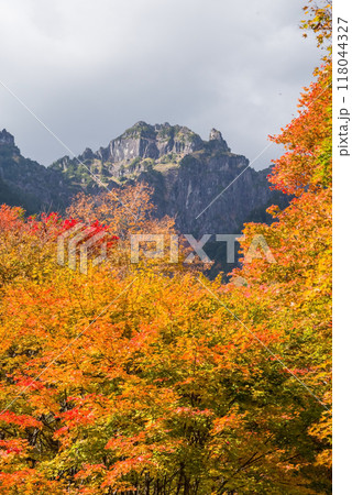 《奥飛騨の紅葉》紅葉最盛期の鍋平高原から望む「錫杖岳」 118044327