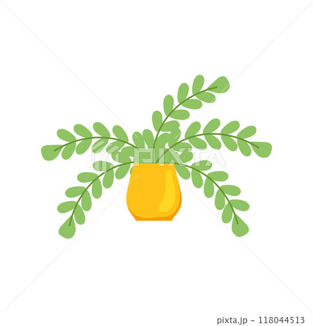 Green potted plant in simple cartoon style Vector 118044513