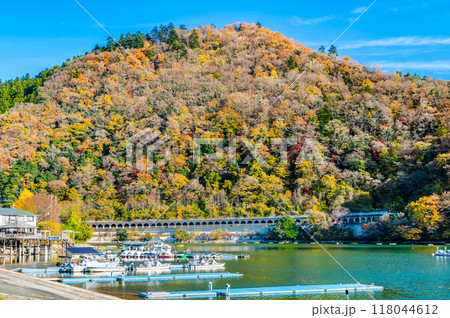 神奈川 紅葉に染まる相模湖　嵐山 118044612