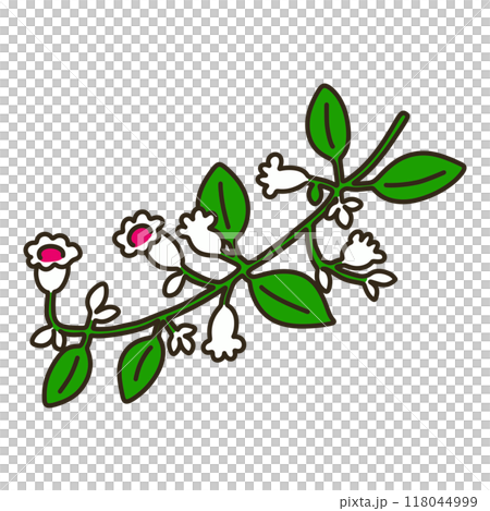 Hexokazura 118044999