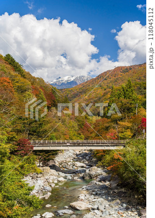《奥飛騨の紅葉》 公共露天風呂「新穂高の湯」周辺 《奥飛騨の紅葉》 公共露天風呂「新穂高の湯」周辺 118045112