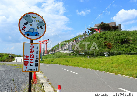 国の天然記念物「ウミネコ繁殖地」蕪島 118045193