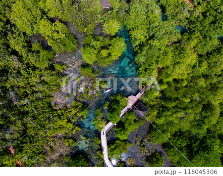 Top view Mangrove forest and river landscape at Thapom Klong Song Nam, Krabi Thailand, Beautiful root in mangrove forest with crystal clear water in small canal,High angle view 118045306