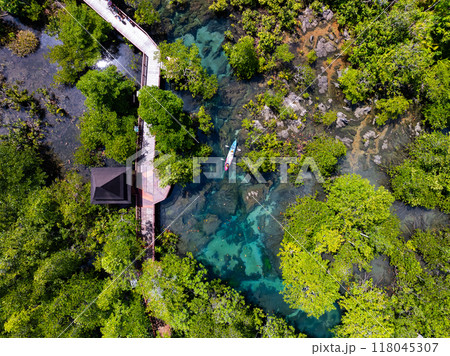 Top view Mangrove forest and river landscape at Thapom Klong Song Nam, Krabi Thailand, Beautiful root in mangrove forest with crystal clear water in small canal,High angle view 118045307