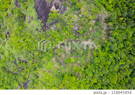 Aerial view Tropical Rainforest trees mountains,Top view green forest background 118045858