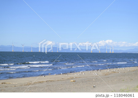 洋上風力発電 118046061