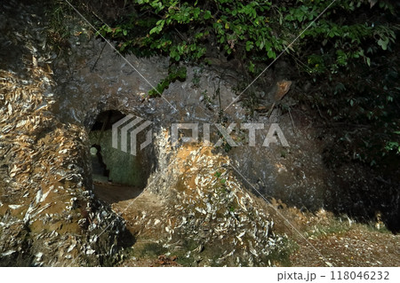 ロマンチック茨城（嘗て海だった霞ケ浦の波崎カキ化石床に掘られた横穴群は死者を葬る墓であった。） 118046232