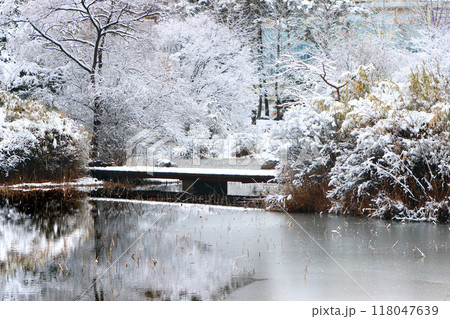 Beautiful winter scenery of snow-covered forest and lake, Ilsan Lake Park 118047639