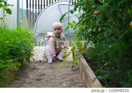 happy child girl holding tomatoes on background of green plants 118048010
