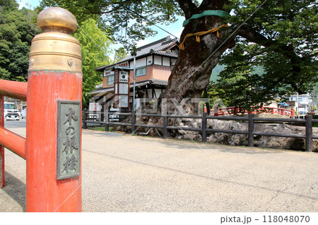 兵庫県丹波市柏原にある天然記念物大けやきの木の根橋 兵庫県丹波市柏原にある天然記念物大けやきの木の根橋 118048070
