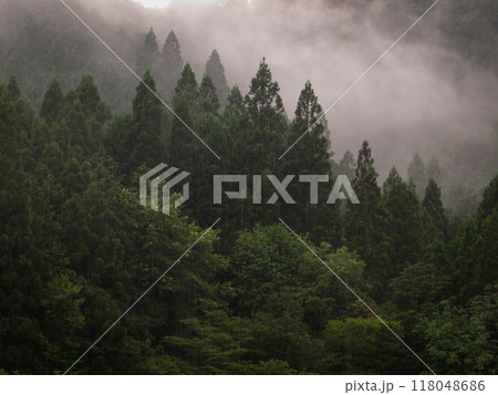 霧が立ち込める山 霧が立ち込める山 118048686