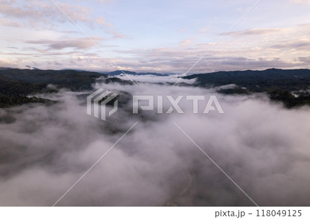 Aerial view Morning fog and trees in the forest 118049125