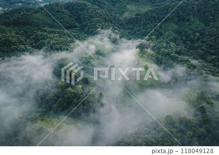 Aerial view Morning fog and trees in the forest 118049128