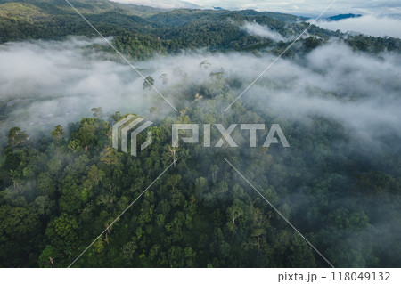 Aerial view Morning fog and trees in the forest 118049132