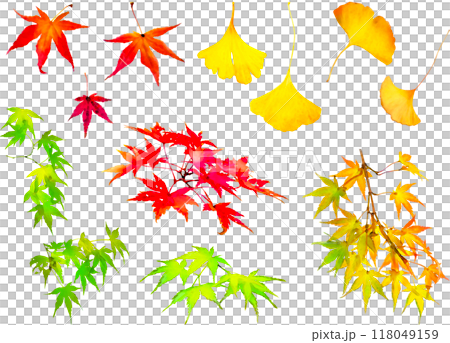 秋の紅葉イラスト素材セット1（モミジとイチョウ） 118049159