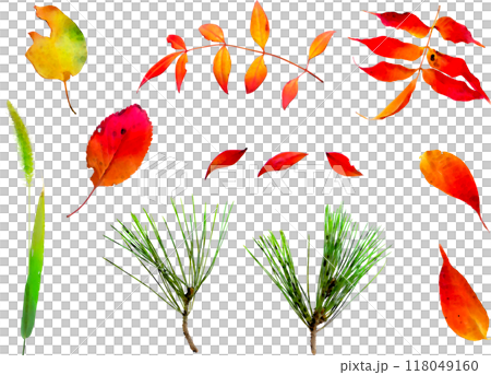 Autumn leaves illustration set 2 118049160