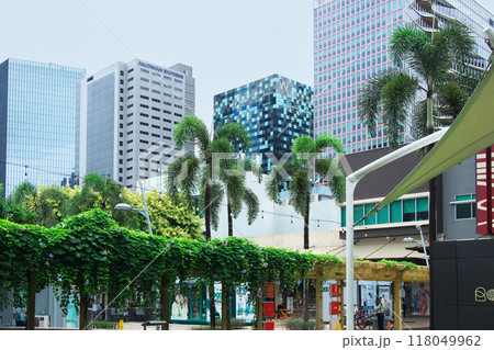 躍動するフィリピン - マニラ・BGCの街並み 　都市景観（2023年9月） 118049962