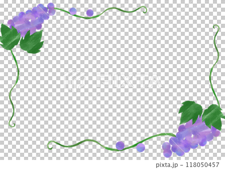 Simple frame of grapes and vines 118050457