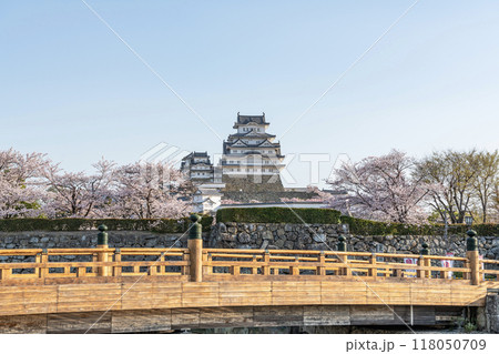 兵庫県姫路市　桜が満開の国宝姫路城と入口の桜門橋 118050709