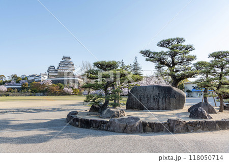 兵庫県姫路市　満開の桜が美しい快晴の国宝姫路城天守と城名が刻まれた石名板 118050714
