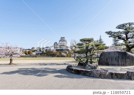兵庫県姫路市 満開の桜が美しい快晴の国宝姫路城天守と城名が刻まれた石銘板 兵庫県姫路市 満開の桜が美しい快晴の国宝姫路城天守と城名が刻まれた石銘板 118050721