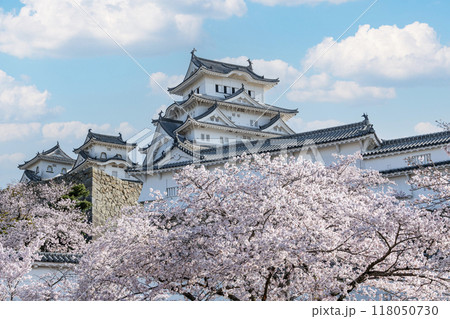 兵庫県姫路市　桜に彩られた春の国宝姫路城天守（近景） 118050730