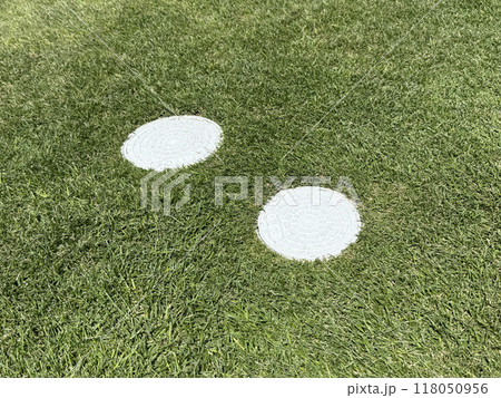 芝生と雨水・汚水マス 芝生と雨水・汚水マス 118050956