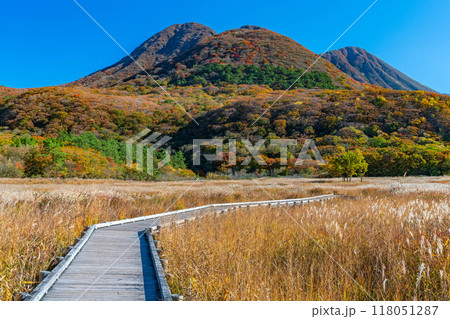 タデ原湿原 118051287