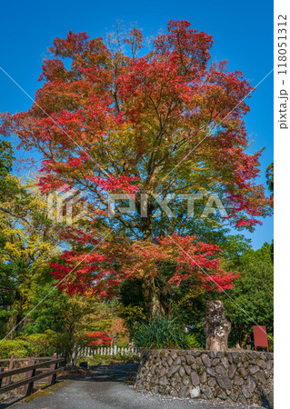 英彦山 英彦山 118051312