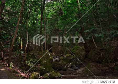 滑川渓谷の遊歩道からの景色 滑川渓谷の遊歩道からの景色 118051418
