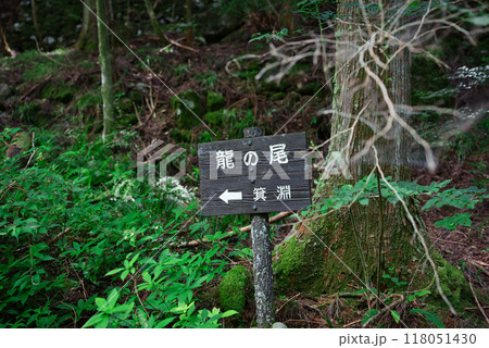 滑川渓谷の遊歩道からの景色 118051430