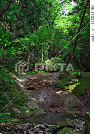 滑川渓谷の遊歩道からの景色 滑川渓谷の遊歩道からの景色 118051466