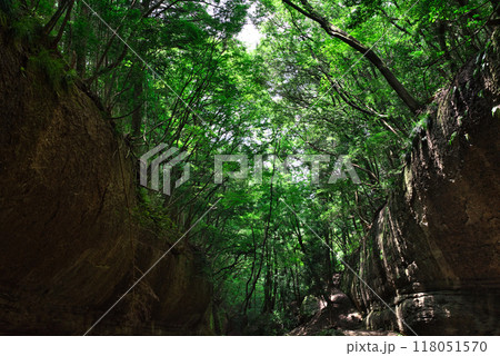 滑川渓谷 118051570