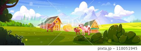 Cows and herd eating on pasture near farm barn 118051945