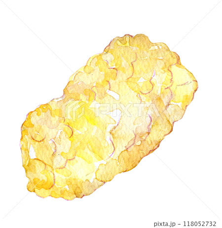 水彩イラスト　イカの天ぷら 118052732