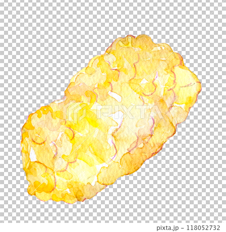 水彩イラスト　イカの天ぷら 118052732